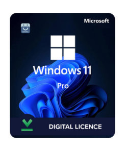 MS Windows 11 Professional Retail