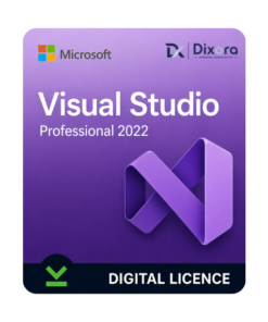 MS Visual Studio 2022 Professional Retail