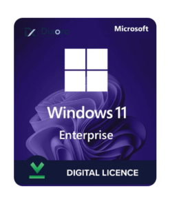 MS Windows 11 Enterprise Retail